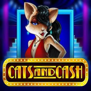cats and cash