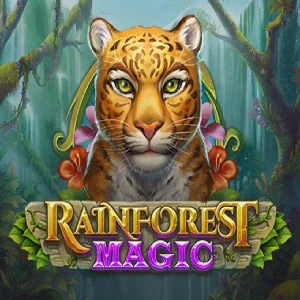 rainforest magic